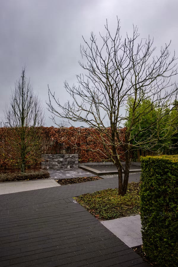 Paving